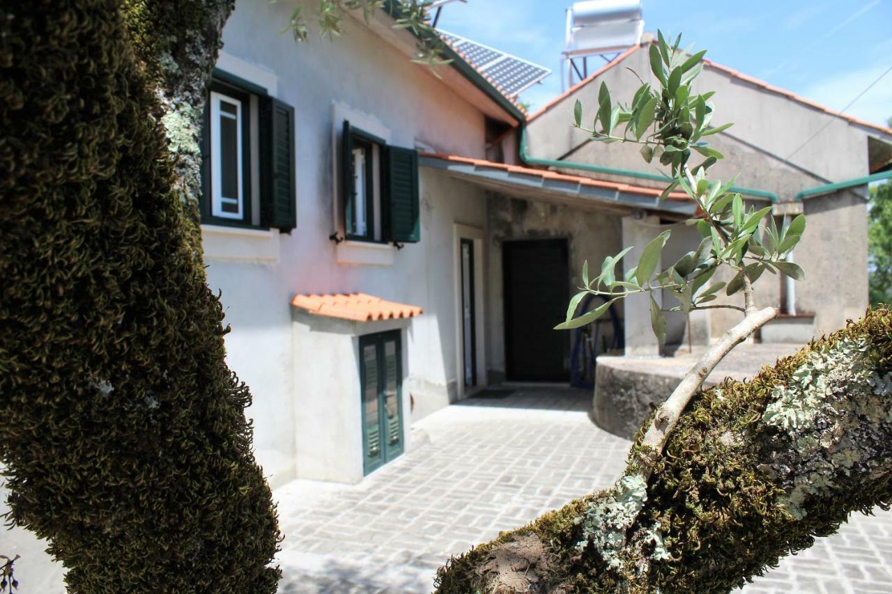 Casa Da Maria Moca Villa Fátima Eksteriør bilde