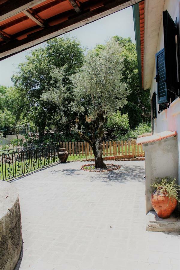 Casa Da Maria Moca Villa Fátima Eksteriør bilde