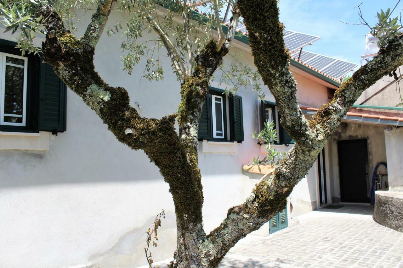 Casa Da Maria Moca Villa Fátima Eksteriør bilde